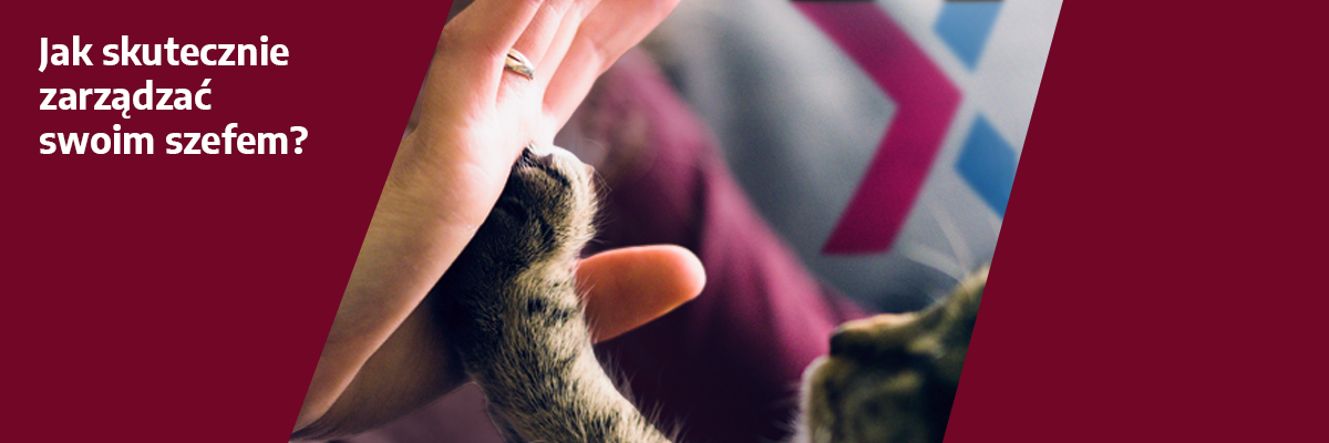 Woman high-fiving with cat.