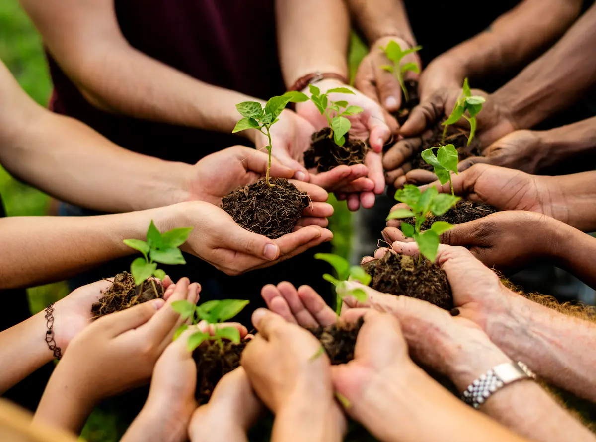 A group of people holding seedlings in their hands.